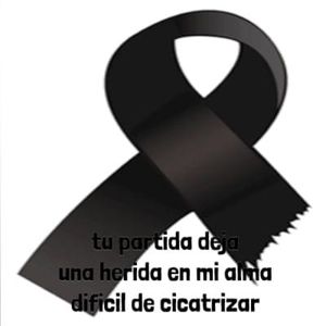 Meet your Posher, Irma